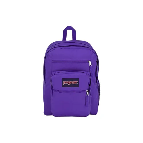 JanSport Полиэстер Рюкзак Большой Унисекс Темно-фиолетовый