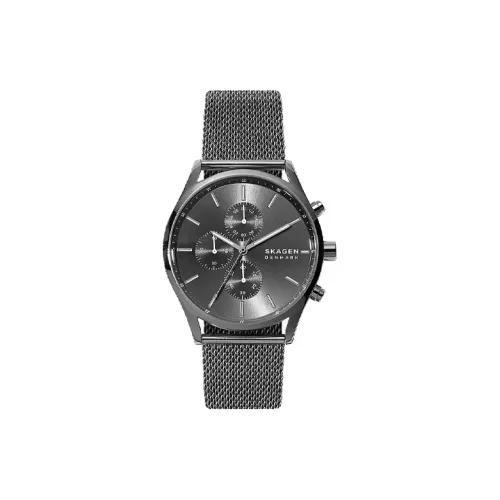 SKAGEN Watch Кварцевый механизм Нержавеющая сталь Ремешок 42 мм Серый циферблат Унисекс