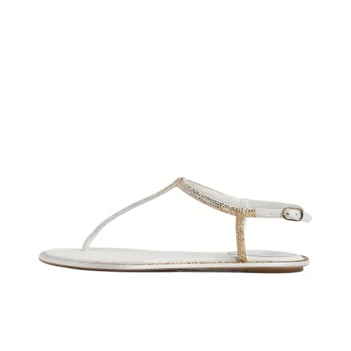 RENE CAOVILLA One Ремешок Сандалии Женские Белые