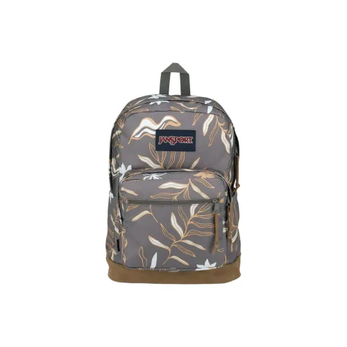 JanSport Рюкзаки Серо-коричневый Унисекс