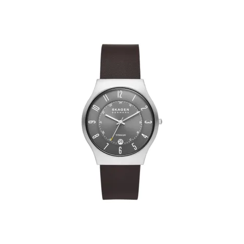 SKAGEN Sundby Collection Мужские часы Кварцевый механизм Кожаный ремешок 37 мм Серый циферблат
