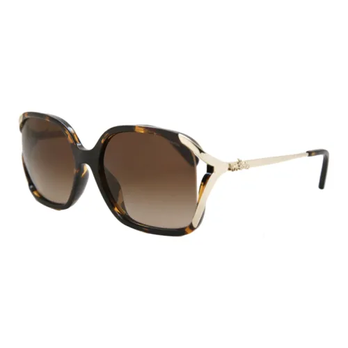 COACH Ацетат Бабочка Солнцезащитные очки Унисекс Черепаховый