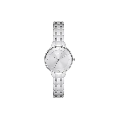 SKAGEN ANITA Collection Женские часы Кварцевый механизм Ремешок из нержавеющей стали 30 мм Серебристый циферблат
