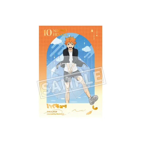 Xhdm Волейбол!! Коллекция "Ждем пока небо прояснится" Шоё Хината и Тобио Кагеяма Фотокарточки