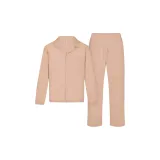 Слюдяной цвет