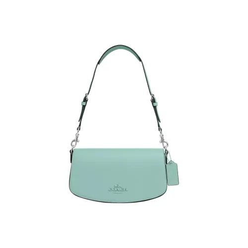 COACH Коровья кожа Сумка через плечо Сумка на плечо Женская серебряная и выцветшая синяя