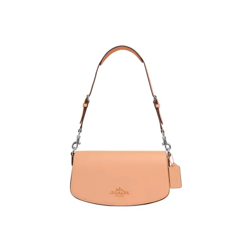 COACH Утонченная Телячья Кожа Сумка через плечо Средняя Женская Серебряный Выцветший румянец