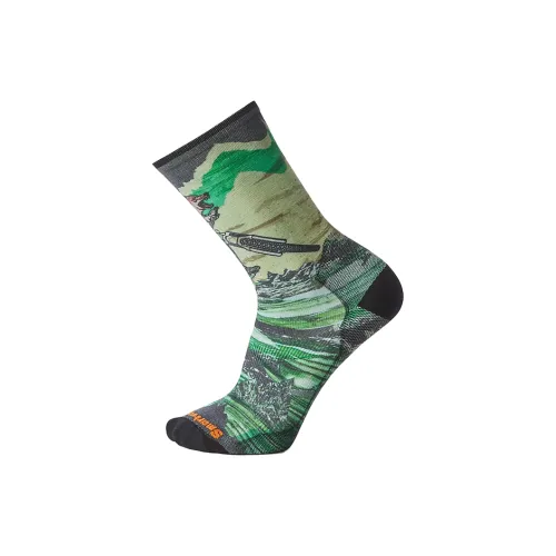 SMARTWOOL Унисекс MID Носки до икры
