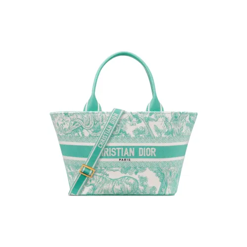 DIOR DIORIVIERA Aquamarina Toile DE Jouy Вышивка Сумка-тоут Женская Мятно-зеленый