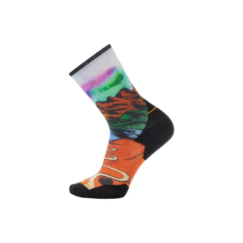 Smartwool 1 пачка Orange Rust Мужские носки до икры MID