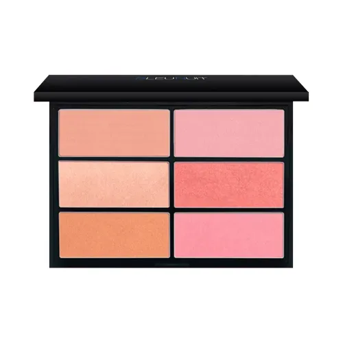 BLEUNUIT 6 COLORS Румяна Легко смешиваемые 27г