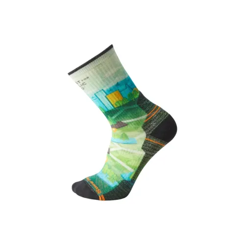 Носки Smartwool Crew Мужские 1 упаковка с принтом