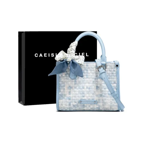 CAEISL KCIEL Полиуретан Синтетическая Кожа Тоут Сумка Сумка для покупок Сумка на плечо Сумка Женская Ткань вязаная Синяя