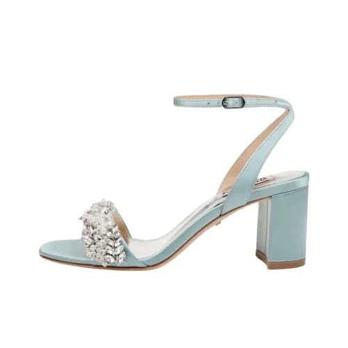 Badgley Mischka Clara One Strap Sandals 6,5cm Women's Blue Badgley Mischka Clara One Ремешок Сандалии 6,5 см Женские Синие