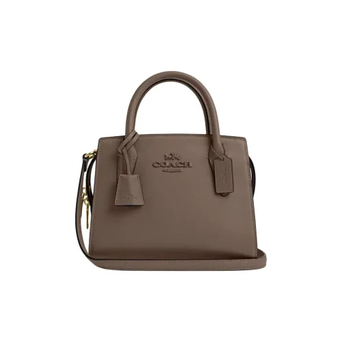 COACH ANDREA CARRYALL Сумки-клатчи Женские