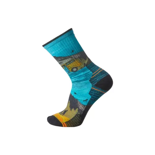 Smartwool 1 пачка многоцветные мужские носки MID до икры