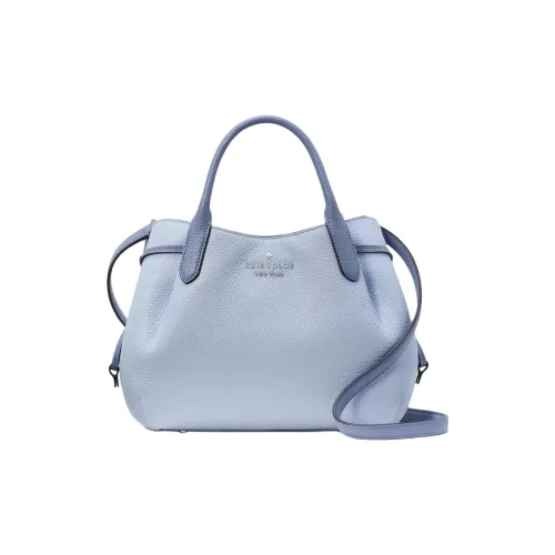 Kate Spade Зернистая кожа личи кожа сумка-пельмень сумка сумка через плечо маленькая женская синий