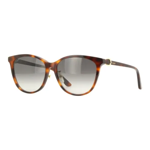 Cartier Ацетат OVAL SUNGLASSES Мужской Черепаховый