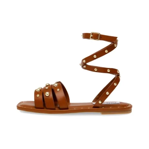 STEVE MADDEN Сандалии в римском стиле, коричневые, женские