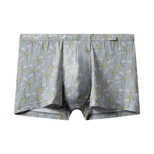 Shuya Gray Men's Boxers