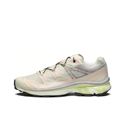 SALOMON XT 6 Противоскользящий Устойчивый к износу Дышащий Низкий Топ Походная обувь Мужская Белый