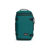 Павлин Зеленый