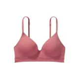 Мягкая бегония / Осенняя бегония