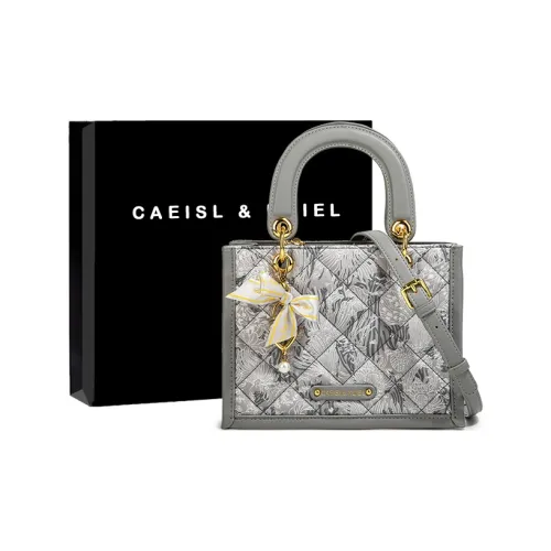 CAEISL&KCIEL Сумки Вышивка Серый Женские