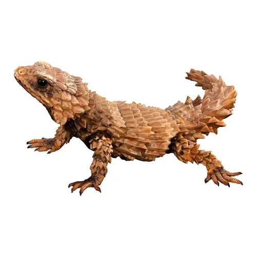 BANDAI Ikimono Encyclopedia Advance Armadillo Лягушка Lucky Целая коробка 4 шт