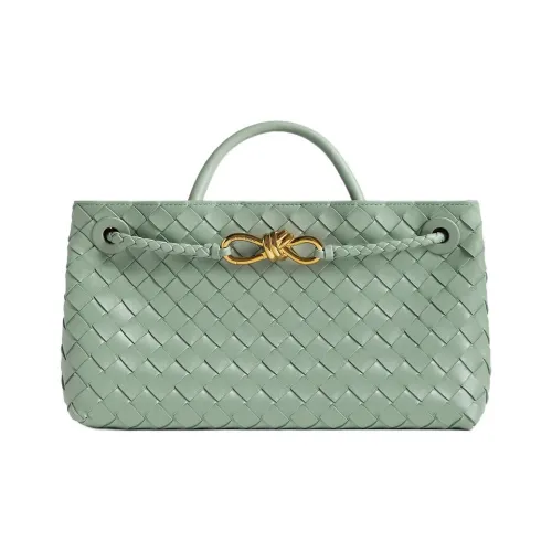 Bottega Veneta Andiamo series Овчина Сумка через плечо Сумка Маленькая Женская Шалфейно-зеленая