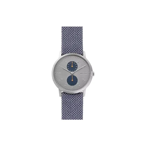 SKAGEN KRISTOFFER Collection Мужские часы Кварцевый механизм Кожаный ремешок 42 мм Серый циферблат