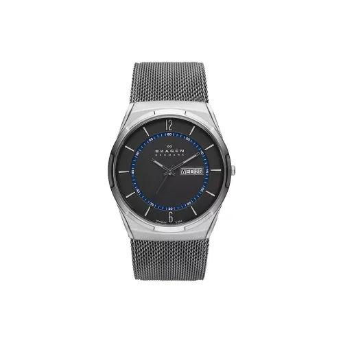 SKAGEN Мужские часы Кварцевый механизм Ремешок из нержавеющей стали 40 мм Серый циферблат