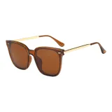 Чайная оправа с чайными линзами C3