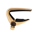 Золотой (Folk / Электрогитара Universal)