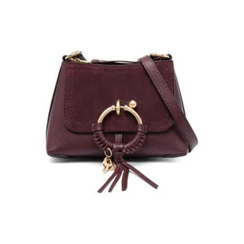 See By Chloe JOAN Series Телячья кожа Сумка через плечо Сумка на плечо Мини Женская Фуксия