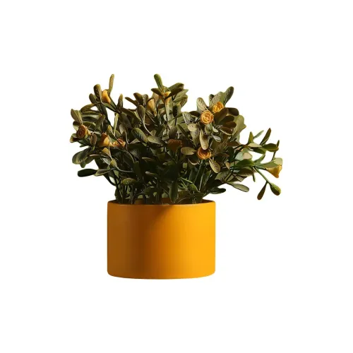 Боул Минималистский стиль Креативный Суккулент Вазон Настольный Мини Орнамент Трендовые Продукты