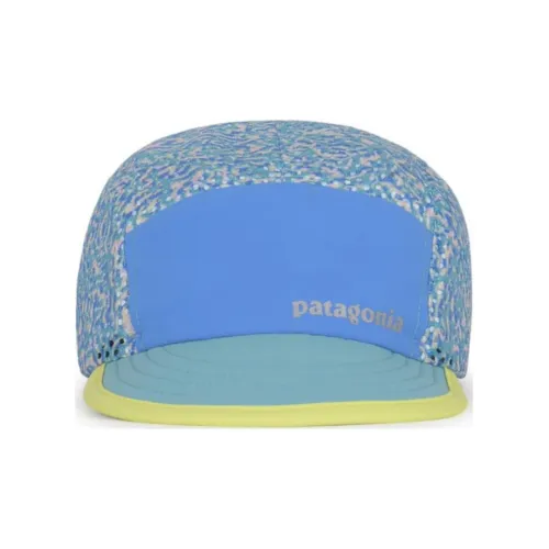 Patagonia Нейлоновые Кепки Мужские Синие