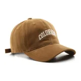 Верблюжий цвет