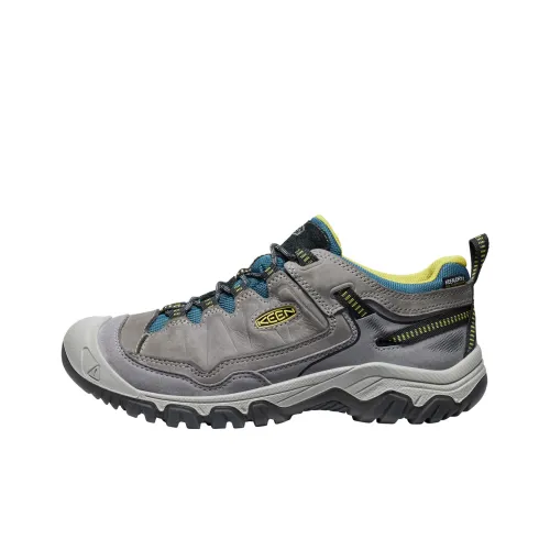 KEEN Targhee 4 Амортизаторы Slip-resistant Низкий Топ Альпинистская Обувь Мужская Серый