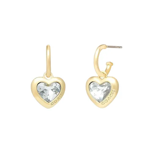 COACH Брасс Серьги Женские Золото