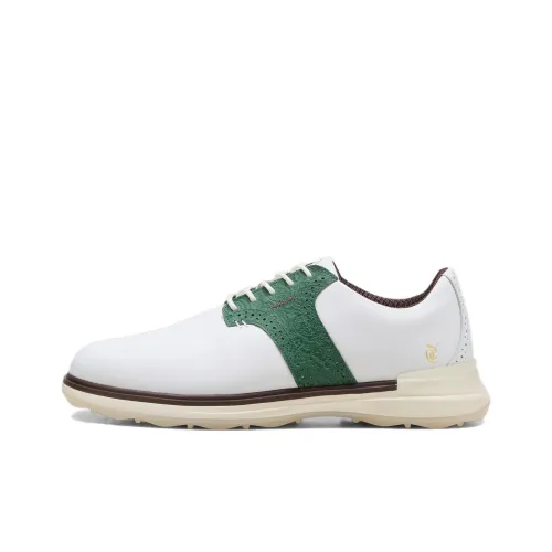 PUMA Avant QGC Low Топ Мужская Обувь для гольфа Белый Зеленый