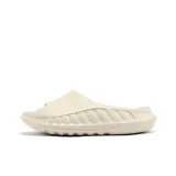 Пустынно-серый