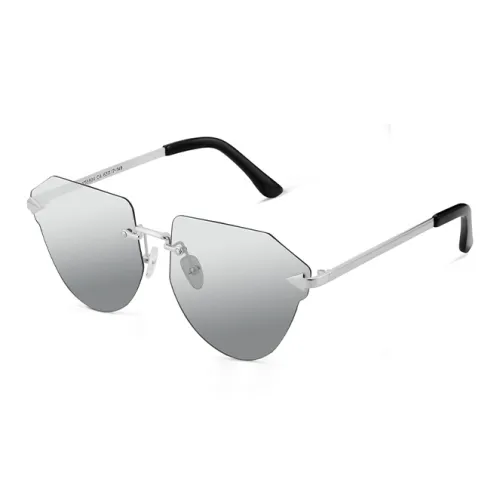 EQUIPMENTELEGANT Нерегулярная форма Солнцезащитные очки Унисекс