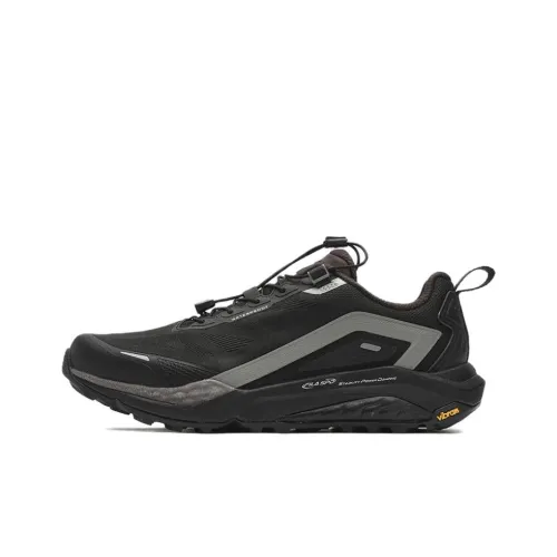 FILA SPD LYNX 2 Беговые кроссовки Низкий топ Пират Черный/Метеоритный серый Мужской