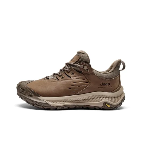 JEEP Низкий Топ Уличная Обувь Мужская Хаки