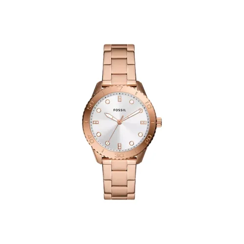 FOSSIL Наручные часы Кварцевый механизм Нержавеющая сталь Ремешок 38 мм Серебристый циферблат Женские часы