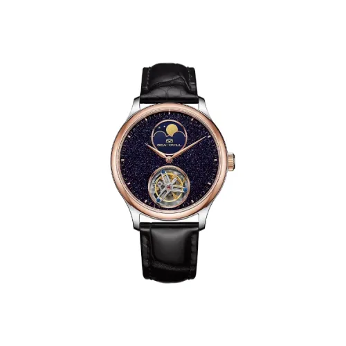 Sea Gull Tourbillon Collection Механизм с ручным заводом Кожаный ремешок Часы Мужские Черный циферблат