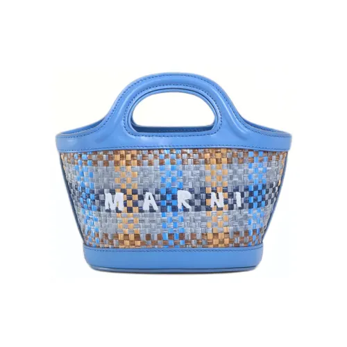 MARNI TROPICALIA Полиамидный нейлон с телячьей кожей сумка через плечо сумка женская синий коричневый и опал