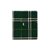 Темный Ферн Зеленый