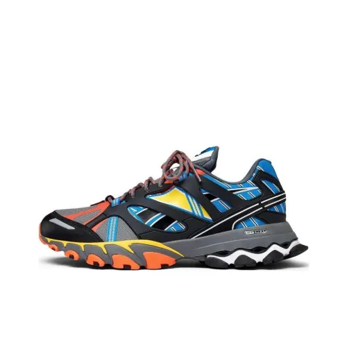 Reebok DMX Trail Амортизация Износостойкие Низкие Кроссовки для Бега Унисекс Многоцветные